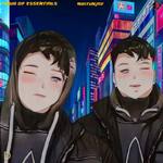 Hour Of Essentials - D'usic Records Song Download